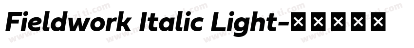 Fieldwork Italic Light字体转换